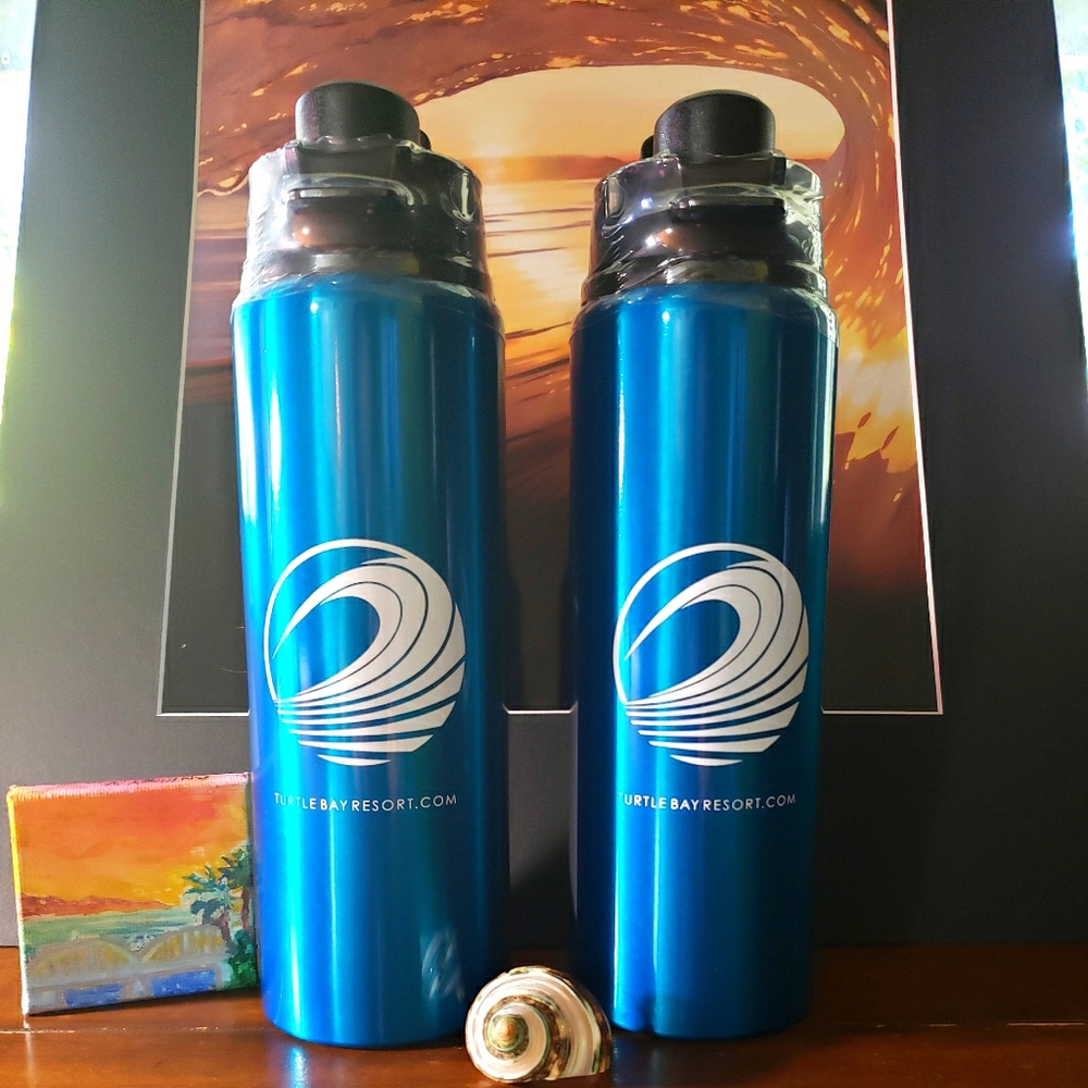 COPY - 🌊 2 Turtle Bay Resort Water Bottles* h2go